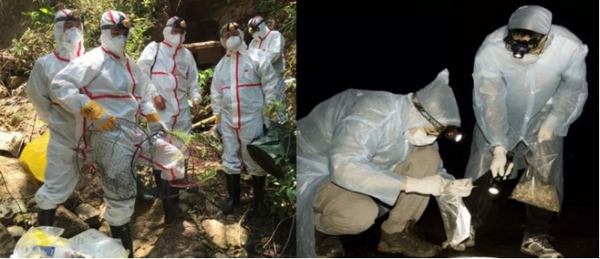 水貂养殖视频致富经_视频致富养殖水貂骗局_视频致富养殖水貂是真的吗