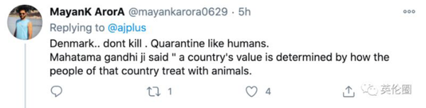 视频致富养殖水貂是真的吗_视频致富养殖水貂骗局_水貂养殖视频致富经