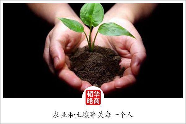 湖北种柚子吗_适合湖北种植的柚子品种_湖北种植柚子致富