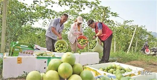 林下养殖致富日报_养殖致富经2019年全集_致富养殖信息