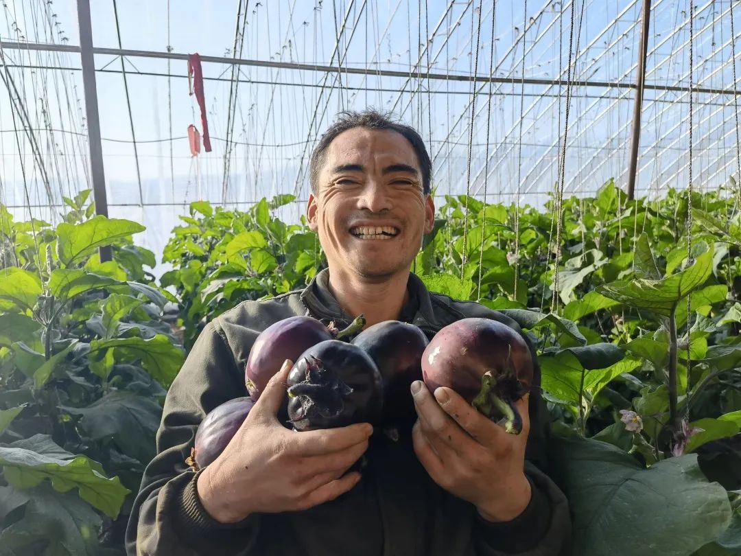 农村致富种植项目_农村致富新项目种植业_种植基地致富增收