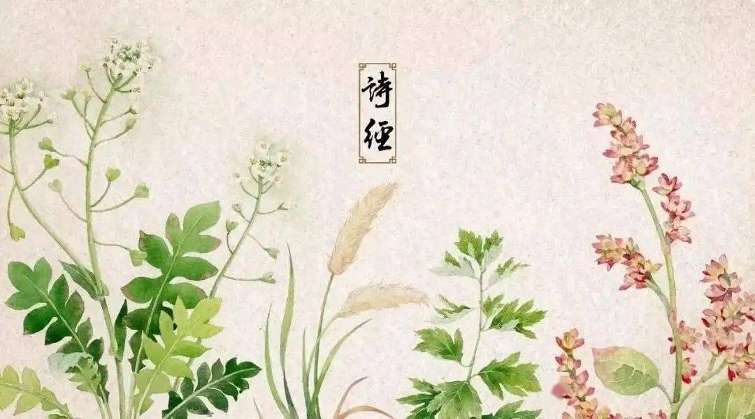 致富经典句子_致富种植什么比较赚大钱_种植致富的句子