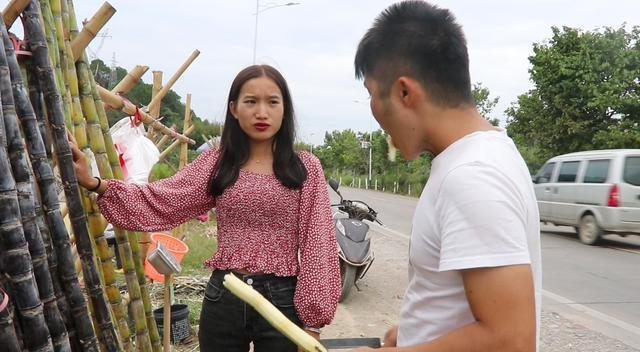 广西种什么水果最赚钱_广西水果种植致富_广西水果种植基地