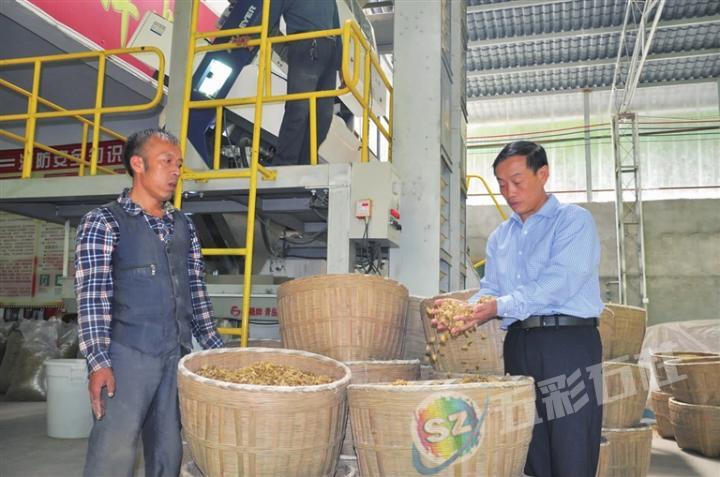 农村种植药材致富项目_药材种植业致富项目_农民勤劳致富药材种植基地