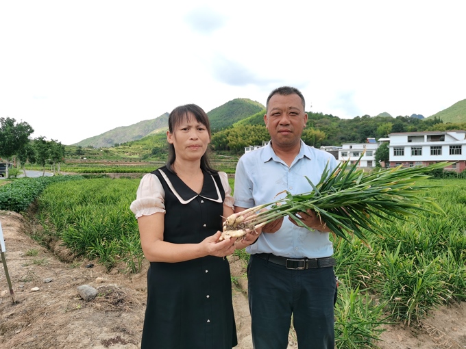 农业种植致富新路子图片_致富路有哪些项目_致富路上什么意思