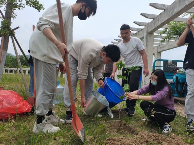 葫芦种子适合什么时候种_冬天葫芦种子怎么种植技术_葫芦种子冬天怎么种植