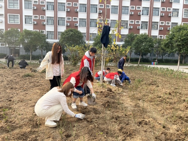 冬天葫芦种子怎么种植技术_葫芦种子冬天怎么种植_葫芦种子适合什么时候种