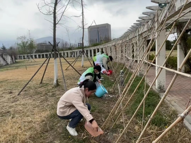 葫芦种子适合什么时候种_冬天葫芦种子怎么种植技术_葫芦种子冬天怎么种植