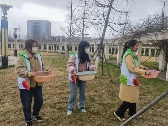 冬天葫芦种子怎么种植技术_葫芦种子适合什么时候种_葫芦种子冬天怎么种植