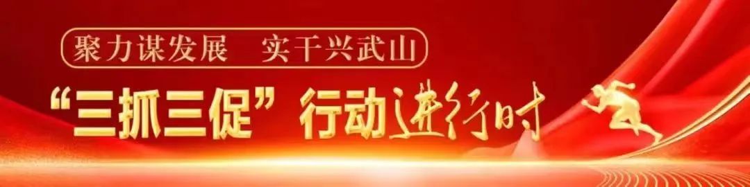 农村靠种金银花致富人_致富种植金银花视频_种植金银花致富