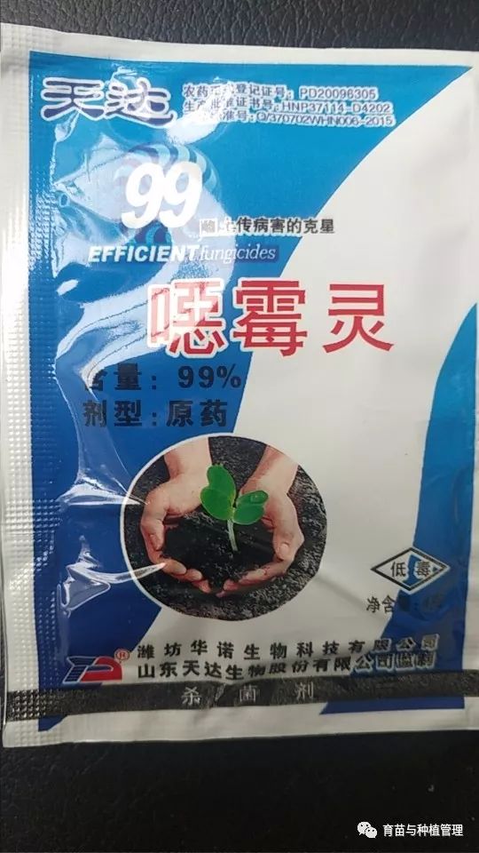 辣椒种植技术视频播放_种植辣椒技术视频_种植辣椒的视频