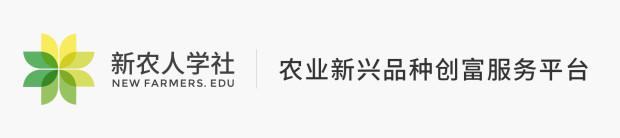 经济价值极高，一只净赚500元的孔雀该怎么养？