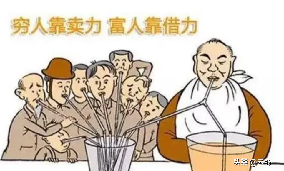 致富经  广西 龟_致富经龟养殖视频_致富经乌龟