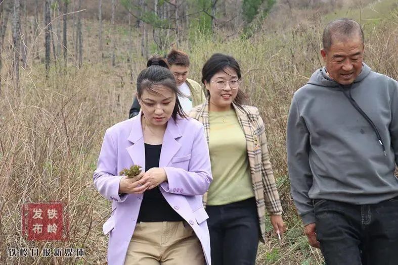 荒山野菜种植致富经验_荒山种草_种植山野菜前景怎么样视频