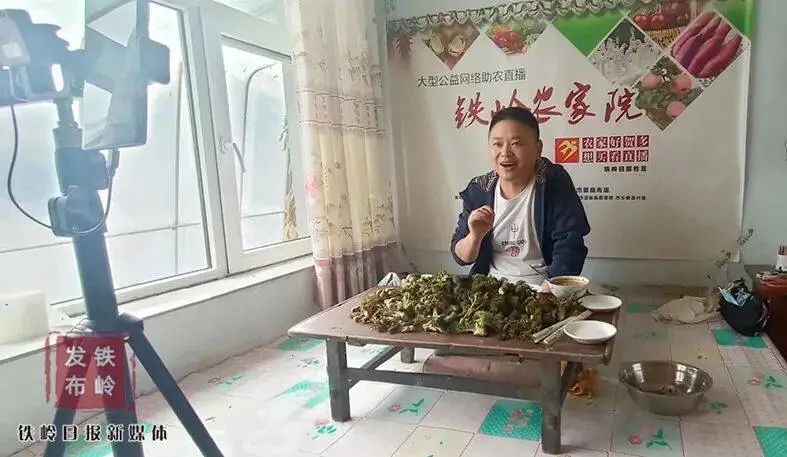 种植山野菜前景怎么样视频_荒山种草_荒山野菜种植致富经验