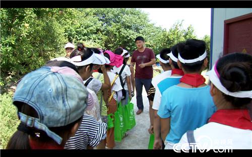 致富经：硕士偷跑进山 赢得财富迎来她(20170807)