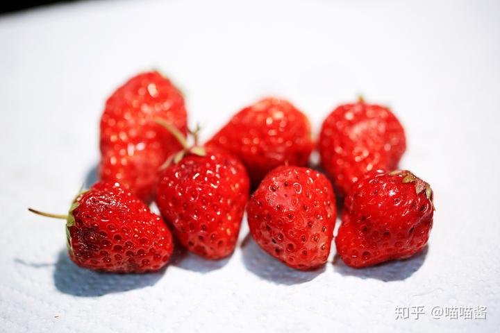 野草莓种植技术_草莓野外种植_野草莓种子怎么种