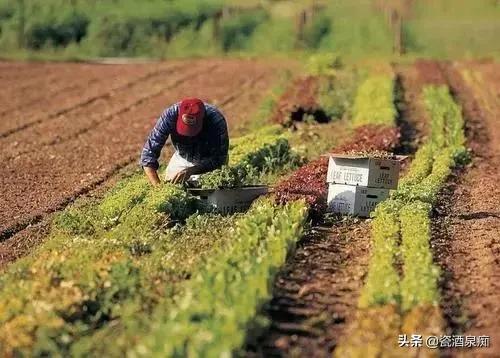 致富发财养殖之路农业图片大全_发财致富经_农业养殖发财致富之路图片