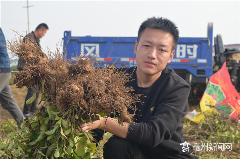 致富经种玉米_种植玉米致富吗_致富经玉米种植