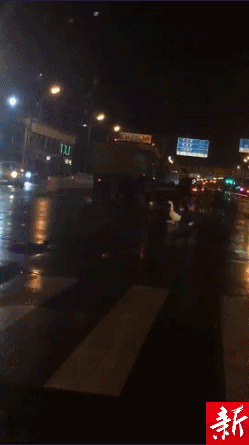养生鹅汤的做法_滋补鹅汤_致富经灌汤烤鹅