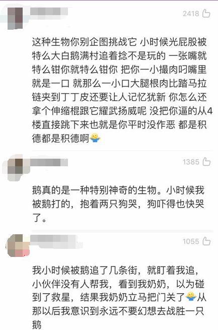 致富经灌汤烤鹅_滋补鹅汤_养生鹅汤的做法