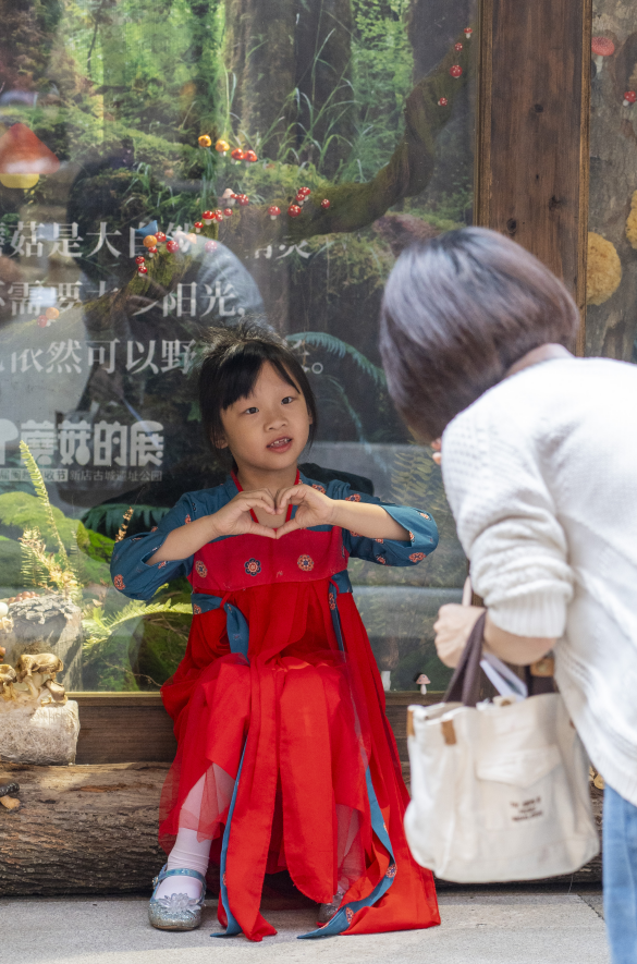 蘑菇种植图片方法技术图_蘑菇种植的图片_蘑菇种植技术方法图片