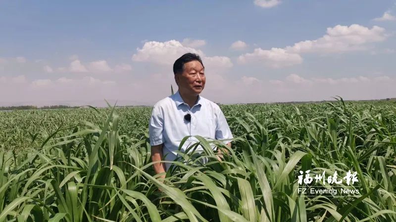 蘑菇种植图片方法技术图_蘑菇种植技术方法图片_蘑菇种植的图片