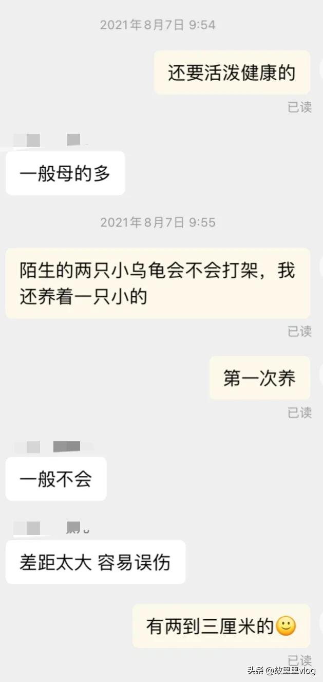 金龟养殖致富视频_致富经用蝇蛆养殖的都是谁视频_今日农经养殖致富视频