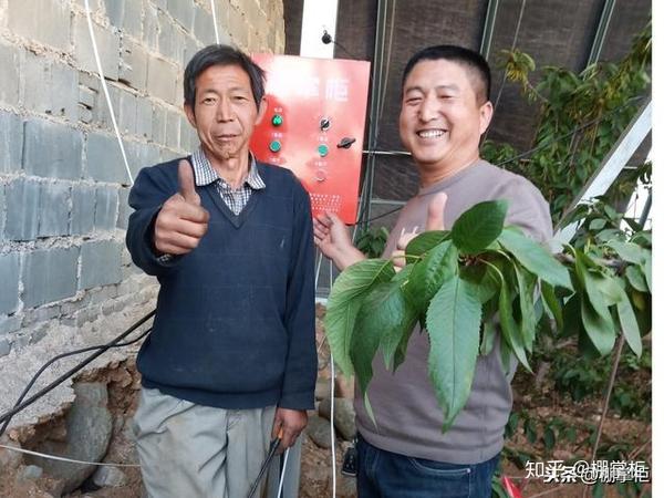 大棚未来10大暴利种植_种植大棚带领村民致富_未来农村大棚种植致富