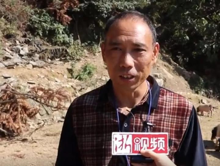 放养藏香猪要围栏吗_藏香猪的养殖技术视频_藏香猪放养殖技术视频