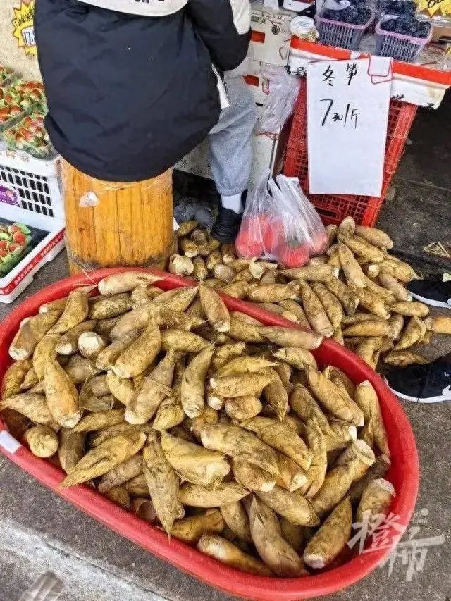 冬笋怎么种植技术_种冬笋的方法及管理_种植冬笋技术视频