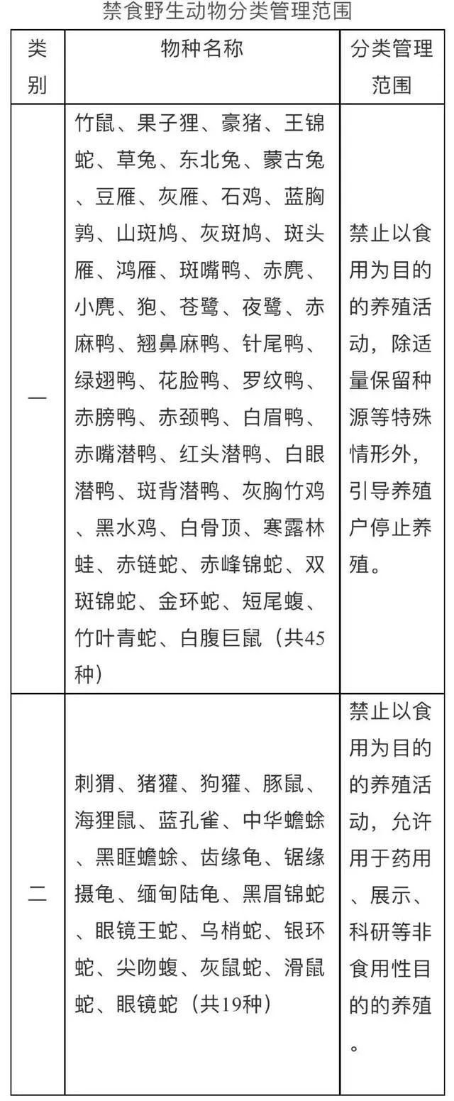 刺猬养殖前景如何_饲养刺猬前景养殖技术研究_刺猬养殖前景及饲养技术