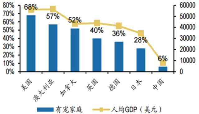 刺猬养殖效益_刺猬养殖前景及饲养技术_刺猬养殖前景如何