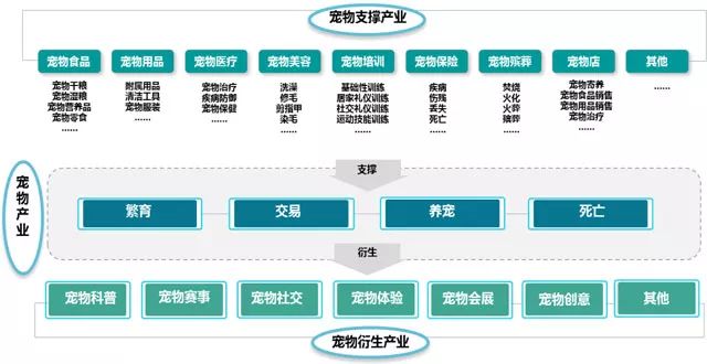 刺猬养殖前景如何_刺猬养殖效益_刺猬养殖前景及饲养技术