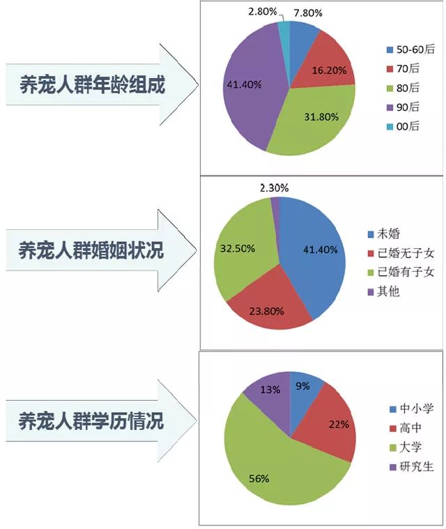 刺猬养殖效益_刺猬养殖前景及饲养技术_刺猬养殖前景如何