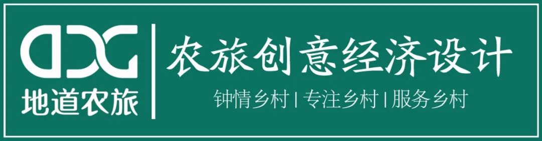 看这条“锦鲤”，如何给她的乡村振兴带来好运！