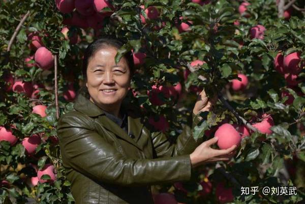 泰顺种植致富果_孝感农业致富种植各种水果网_村民种植黑皮冬瓜致富