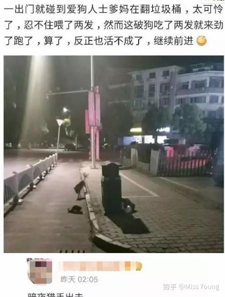 养高加索犬的好处_养高加索犬是什么感受_高加索肉狗养殖技术