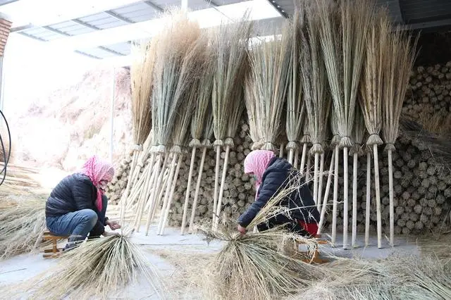 乡村振兴党史学习教育赋能 民和县杨家湾村富民强村路越走越宽