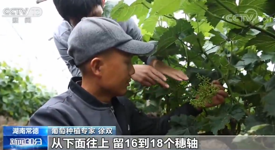 致富种植门路公司怎么样_种植致富业_致富门路种植公司