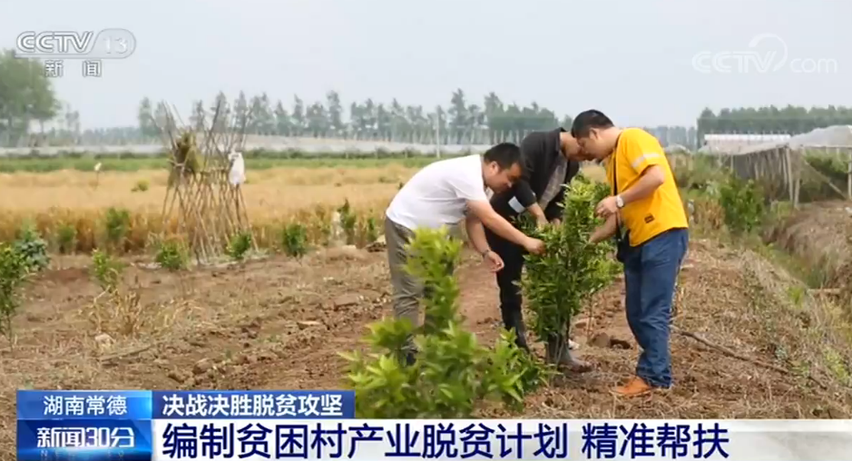 致富种植门路公司怎么样_种植致富业_致富门路种植公司