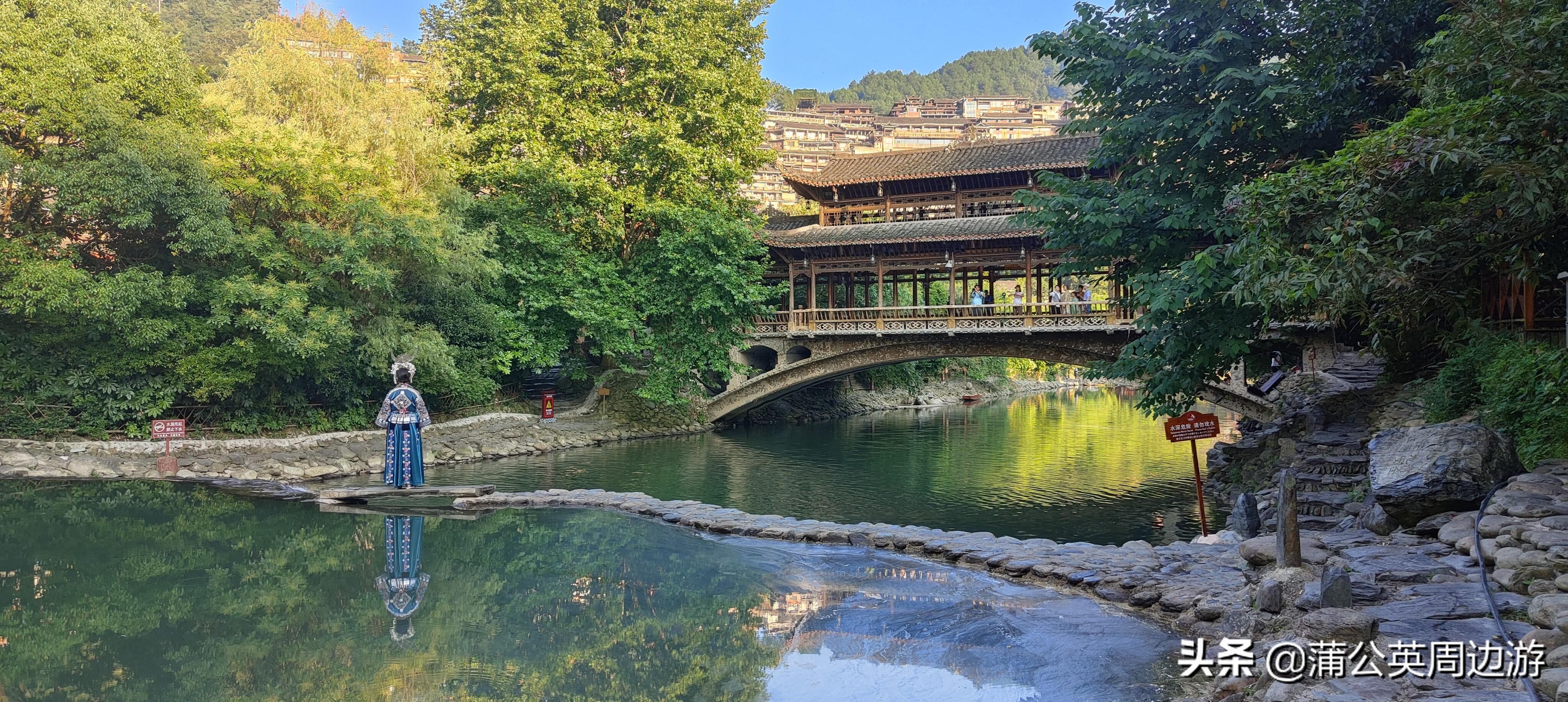 致富种植赤水芦笋图片_赤水种植芦笋致富_致富种植赤水芦笋怎么样