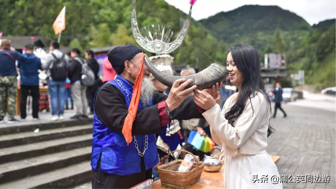 致富种植赤水芦笋图片_赤水种植芦笋致富_致富种植赤水芦笋怎么样