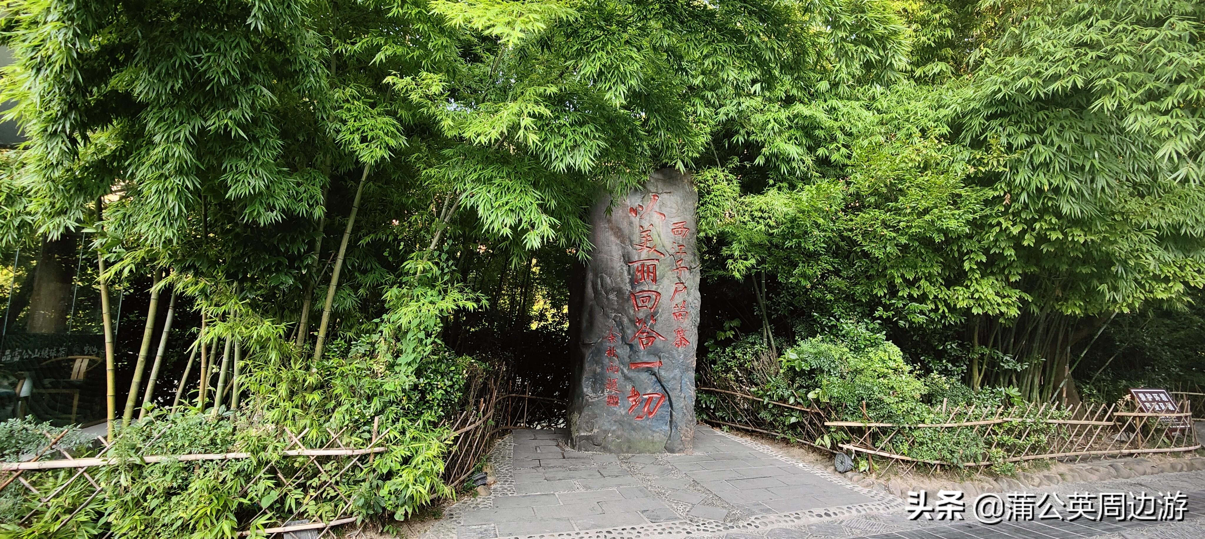 致富种植赤水芦笋怎么样_赤水种植芦笋致富_致富种植赤水芦笋图片