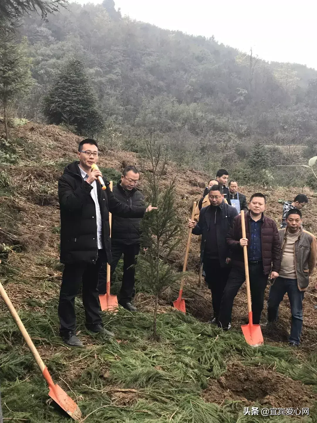 宜宾种植什么最赚钱_宜宾苗乡种植致富_宜宾种植业