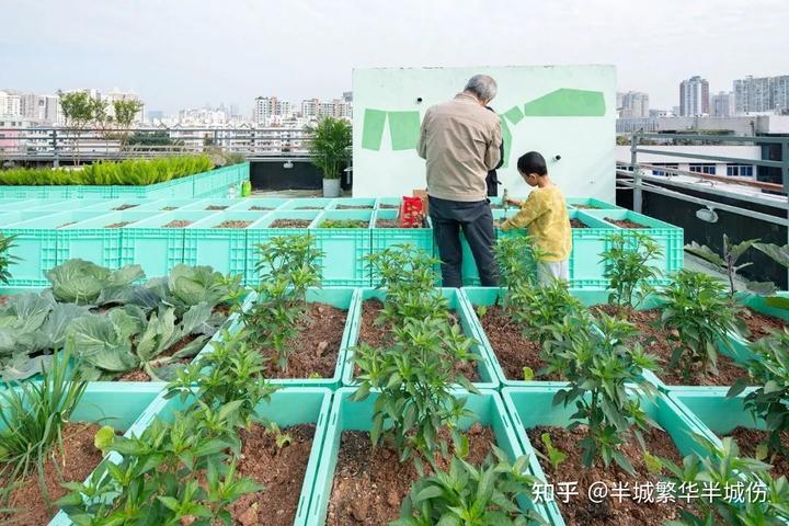 致富农场种植花草视频_农场种植致富花_农村致富种植