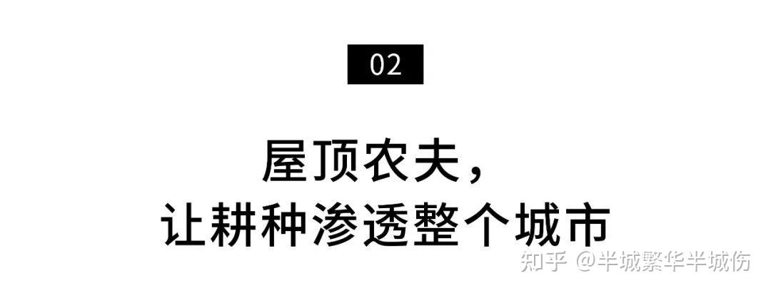 致富农场种植花草视频_农村致富种植_农场种植致富花