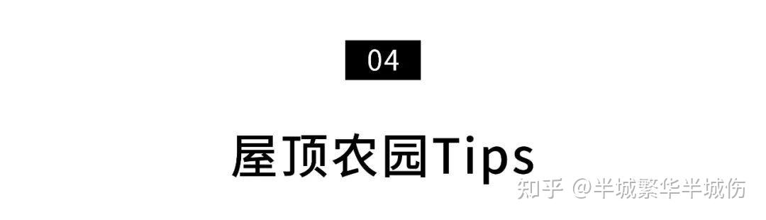 农村致富种植_农场种植致富花_致富农场种植花草视频