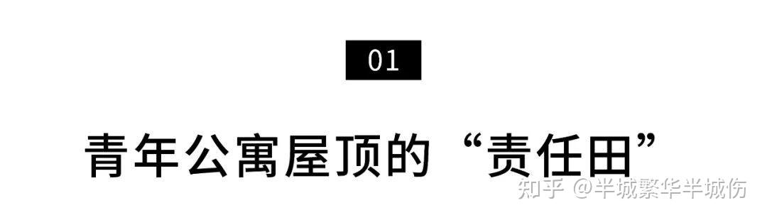 致富农场种植花草视频_农场种植致富花_农村致富种植