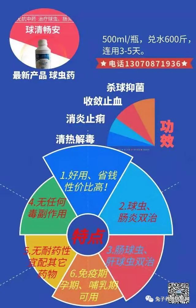 兔子养殖技术指导内容_兔子养殖技术资料_养殖兔子的技术和管理